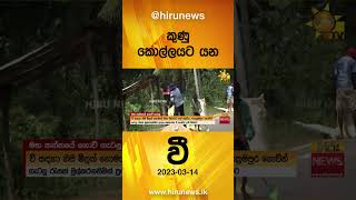 කුණු කොල්ලයට යන වී - Hiru News