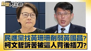 民進黨找黃珊珊削弱黃國昌？柯文哲訴苦被這人背後插刀？【新聞大白話】20250107-7｜謝寒冰 羅智強 何景榮