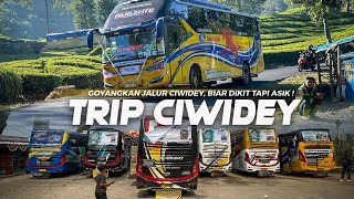 [ BIAR DIKIT TAPI ASIK !! ] TRIP SERU BARENG KUDA SENANG GOYANG ! Dewi Permata Parlente to Ciwidey 2