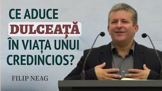 Filip Neag - Ce aduce dulceață în viața unui credincios? | PREDICĂ 2024