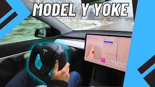 Hanshow Yoke For Model 3 and Y Wife Impressions, Initial Review