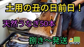 土用の丑の日前日！天然うなぎ♪捌き～発送！