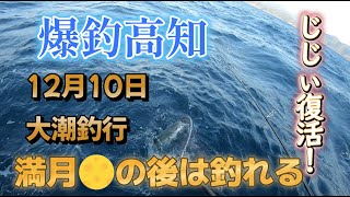 【ジギング】満月🌕の後は釣れる　爆釣高知　１２月10日大潮釣行　Japanese boat fishing　【タイラバ】