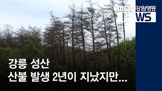 [뉴스리포트]강릉 성산 산불 2년, 지금은?190517