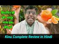 kinu fruits complete review । विटामिन सी की कमी को करेगा पूरा और रखेगा स्वस्थ । kinu benefits