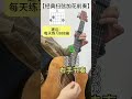 吉他 零基础初学者入门吉他教学 民谣吉他弹唱教学 guitar solo music