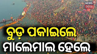 ମହାକୁମ୍ଭରୁ ମାଲେମାଲ ହେଲା ୟୁପି! Mahakumbha 2025 | Prayagraj | Uttar Pradesh | Odia News | N18K | N18V