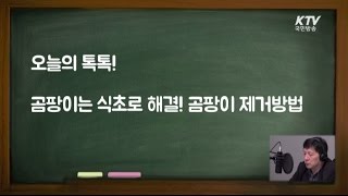 곰팡이는 식초로 해결! 곰팡이 제거방법