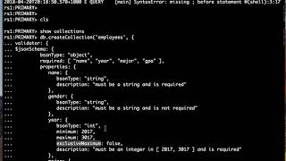 MongoDB Jsonschema Validator