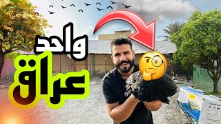 وصل اندر طير للمزرعة 😱علاج نهائي للمرض ??