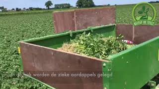 Aardappels selecteren I Beleef de teelt I #15