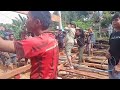 teknik membangun rumah panggung dari awal sampai lantai ala suku duri enrekang. part 2.