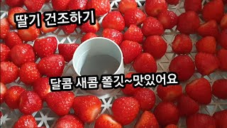 🍓식품건조기에 말린딸기~ 새콤 달콤 쫄깃해 자꾸자꾸 손이가는 맛이예요