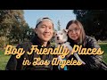 6 Dog Friendly Places in LA For Couples! | Hiking, Shopping & Food