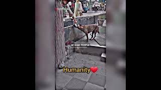 humanity❤🙏🙏🏻#shortvideo #shortsviral #shorts #ghazi #official #820#plz_subscribe_my_channel