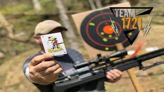 FX Wildcat MK2 .25 Caliber Plinking at 155 Yards!