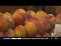 Possible Salmonella Outbreak Linked To Wawona Peaches