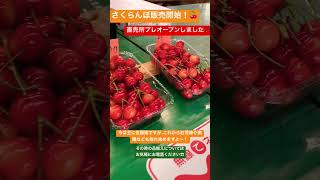 直売所プレオープン🍒美味しいさくらんぼの販売やってます！