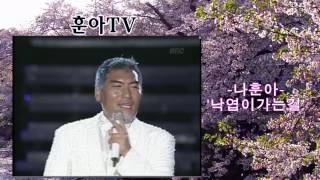 나훈아 낙엽이가는길