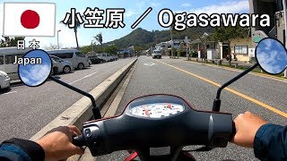 小笠原の旅その5　レンタバイクで父島の海岸めぐり、島寿司も食べます【無職旅／旅行記】