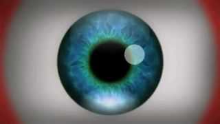 WARNING: This video will make you hallucinate!