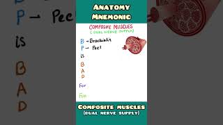 Composite Muscles - mnemonic | Anatomy | #shorts