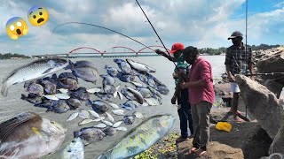 ഇവിടെ പോയാൽ വെറുംകൈയോടെ തിരികെ വരില്ല...😳😨 | IFIF | fishing malayalam | Thirutha | parrot fish | Adu