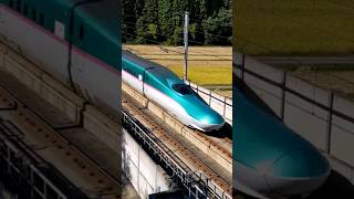 東北新幹線　はやぶさ　E５系 　通過  　#shorts 　高速通過　#vktrain  Japan train bullet train बुलेट ट्रेन　本編は↓の作成元をクリック