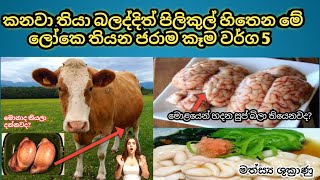 දැක්කත් පිලිකුල් හිතෙන මේ ලෝකෙ තියෙන ජරාම ආහාර වර්ග 5. /5disgusting foods in this world.