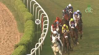 CASTEEL wins The Calcutta Derby Stakes (Gr.1)