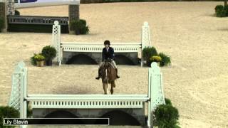 644 SANDER Lily Blavin, Small Junior Hunter 15 \u0026 Under   Handy