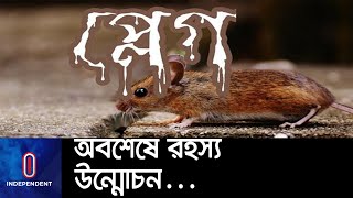 প্লেগ রোগের উৎপত্তি: রহস্য জানতে ৬০০ বছর লাগলো! || Plague Origin