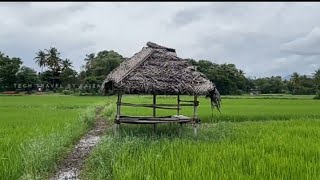 കൊല്ലംകോട് വഴി ഒരു യാത്ര |One of the best village in India| Kollamkode| Brotecz