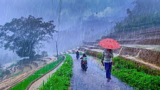 SUPER HEAVY RAIN IN ASIAN HILLS VILLAGE LIFE | TORRENTIAL RAIN AND THUNDER SOUNDS FOR SLEEPING