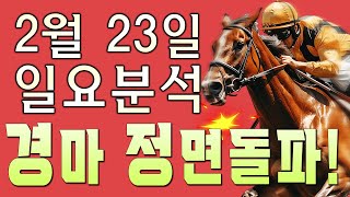 2/23[일]일요 서울/부산 분석 예상방송! 보고 느끼고 분석한대로 소신껏 선동렬 스타일대로 가보겠습니다!