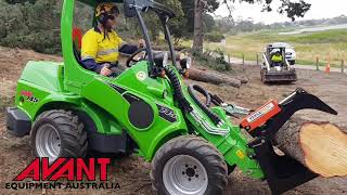 Avant ArborPro Mini Loader on a Steep Work Site