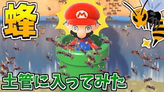 ハチに追いかけられてる時にマリオの土管の中に入ったら助かる説!!【あつ森】【あつまれどうぶつの森検証】