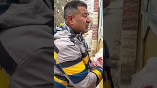 غذارسانی به سگ های بی پناه | Feeding homeless dogs | Evsiz köpeklere yemek vermek#عباس_طوسی