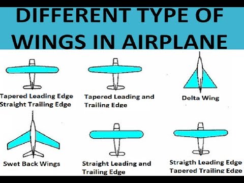 What are the four types of wings?