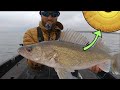 SMASHING Fall Walleyes on Leech Lake!