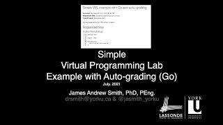 VPL auto-graded example with Python
