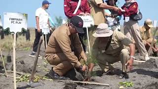 Mari Intip 5 Tahun Transformasi BUMN, PLN Konsisten Jaga Kelestarian Lingkungan di Pantai Samas DIY