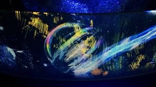 新江ノ島水族館ナイトアクアリウム30秒ガイド 30seconds guide of night aquarium of Enoshima.