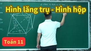 Bài 6. Hình lăng trụ - Hình hộp (Toán 11 sgk mới) | HKG lớp 11 | Toán 11 (SGK mới) | Thầy Phạm Tuấn