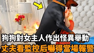 狗狗每天粘著女主人，并對其作出怪異舉動，丈夫看監控后嚇得當場報警！