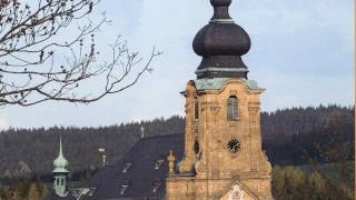 Marktleugast-Marienweiher Wallfahrtskirche Mariä Heimsuchung Plenum