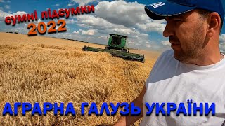 Як минув сезон війни 2022 року в агросекторі. Хто гальмує розвиток єдиної потужної галузі в Україні