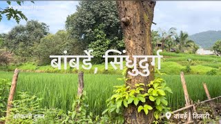 निसर्ग | सिंधुदुर्ग | बांबर्डे | तिलारी | Nature sounds in Sindhudurg and Kolhapur