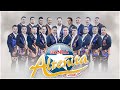 Banda Alteñita De Morelia - Últimas Mejores Canciones