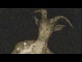 The Creepiest Of Pasta S3 E4 - Anansi's Goatman Story (Read by a Scotsman)